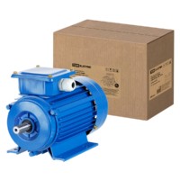 Электродвигатель АИР 63A6 3ф 0,18кВт 1000об/мин 1081 TDM