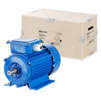 Электродвигатель АИР 90L6 3ф 1.5кВт 1000об/мин 1081 TDM