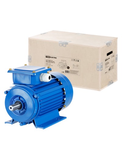 Электродвигатель АИР 112MA6 3ф 3кВт 1000об/мин 1081 TDM