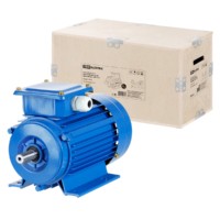 Электродвигатель АИР 132S6 3ф 5,5кВт 1000об/мин 1081 TDM