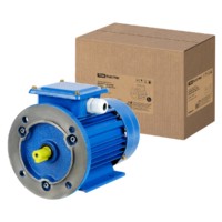 Электродвигатель АИР 80A2 3ф 1,5кВт 3000об/мин 2081 TDM