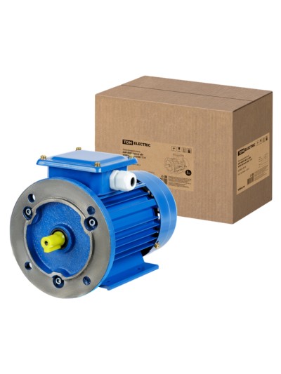 Электродвигатель АИР 80B2 3ф 2.2кВт 3000об/мин 2081 TDM