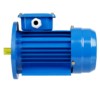 Электродвигатель АИР 63A4 3ф 0,25кВт 1500об/мин 2081 TDM