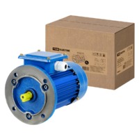 Электродвигатель АИР 63B4 3ф 0,37кВт 1500об/мин 3081 TDM