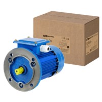 Электродвигатель АИР 71B4 3ф 0,75кВт 1500об/мин 3081 TDM