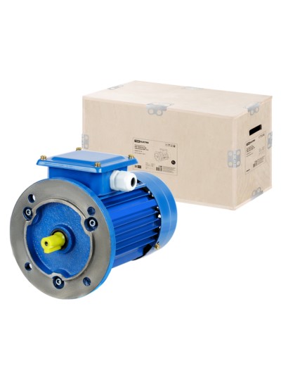 Электродвигатель АИР 100S4 3ф 3кВт 1500об/мин 3081 TDM