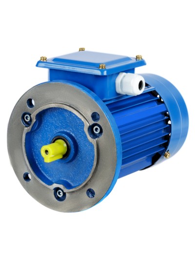 Электродвигатель АИР 112M4 3ф 5,5кВт 1500об/мин 3081 TDM — изображение 2