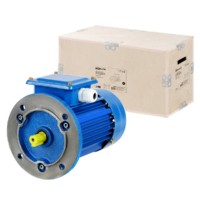 Электродвигатель АИР 100L6 3ф 2,2кВт 1000об/мин 3081 TDM