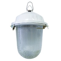 Светильник НСП 02-100-001.01 У2 (без решетки, стекло, крюк) TDM