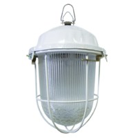 Светильник TDM НСП 02-100-002.01 У2 (с решеткой, стекло, крюк)