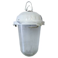 Светильник НСП 02-200-021.01 У2 (без решетки, стекло, крюк) TDM