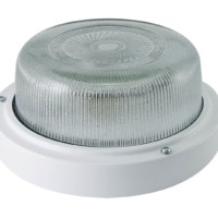 Светильник НПП 03-100-003 (металл, стекло) IP65 TDM