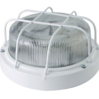 Светильник НПП 03-100-103 (металл, стекло, с решеткой) IP65 TDM