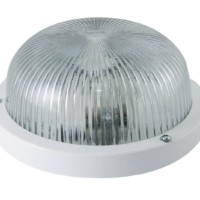 Светильник НПП 03-60-001 (металл, стекло прозр.) IP65 TDM