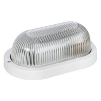 Светильник НПП 03-60-1401 (металл, стекло прозр.) IP65 TDM