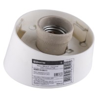 Корпус TDM НББ 64-60 наклонный под лампу Е27 с инд. стикером IP20 белый (24/24)