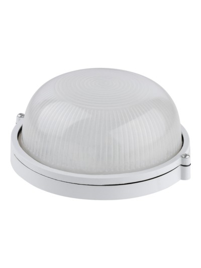 Светодиодный светильник LED 10/1000/13-02 mini TDM