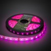 Лента светодиодная SMD5050-60 LED/м-IP65-12 В-14,4 Вт/м-RGB (5 м) блистер TDM