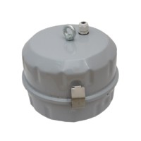 Светильник ГСП/ЖСП 99-250-300 (Бокс IP65) E40 TDM