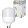 Лампа СДЛ T 40Вт 230В 4000К E27 114×183мм Народная TDM