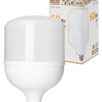 Лампа СДЛ T 50Вт 230В 6500К E27 125×206мм Народная TDM