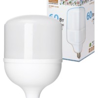Лампа СДЛ T 60Вт 230В 4000К E27 135×225мм Народная TDM