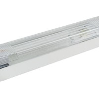 Светильник вандалоустойчивый ЛПБ 31-11-006 б/планки (КЛЛ 11 Вт, G23)  TDM