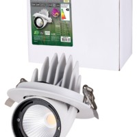 Светильник встраиваемый поворотный “Акцент-1” LED DSL-01-030-WW 30 Вт, 24°, 3000 К, 90 Ra, IP40, TDM