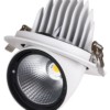 Светильник встраиваемый поворотный "Акцент-1" LED DSL-01-040-WW 40 Вт, 24°, 3000 К, 90 Ra, IP40, TDM