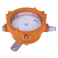 Светильник взрывозащищенный ДБП 09-20-001 УХЛ1ОМ1 (Плафон ВС) 1ExdIIBT6Gb TDM