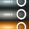 Лампа кольцевая светодиодная 16 см 6Вт 2700 6400К штатив наст. диммер USB TDM