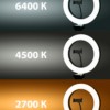 Лампа кольцевая светодиодная 26 см 12Вт 2700 6400К штатив наст. диммер USB TDM
