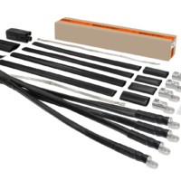 Муфта кабельная термоусаживаемая концевая внутренней и наружной установки 150-240 кв.мм 1кВ ПВХ/СПЭ с броней с наконечниками 4ПКВНтпБ1-150/240-Б TDM