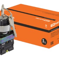 Переключатель на 2 положения с ключом SB2-BG45 с возвратом, 1НО+1НЗ, d22 мм, черный, IP40 TDM