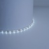 Лента светодиодная Feron LS603 60SMD(2835)/м 4.8Вт/м 1м IP20 12V 6500К
