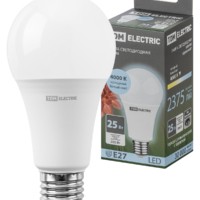 Лампа СДЛ А65 25Вт 230В 4000К E27 TDM