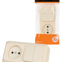 Блок комбинированный выкл. 2-кл. 10А + розетка 2П 10А 250В БКВР IP20 сл. кость “Ладога” TDM