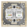 Розетка телефонная RJ11 + компьютерная RJ45 сл. кость "Сенеж" TDM