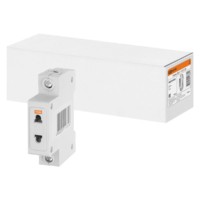 Розетка РД-47  1Р 10А TDM