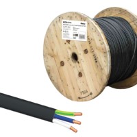 Кабель ВВГ-Пнг(А)-LS 3х10 ок(N, PE)-0,66 ГОСТ TDM