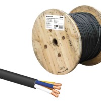 Кабель ВВГнг(А)-LSLTx 4х6 ок(N)-0,66 ГОСТ TDM