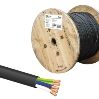 Кабель ВВГнг(А)-FRLSLTx 5х10 ок(N, PE)-0,66 ГОСТ TDM