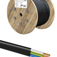 Кабель ВВГ-Пнг(А)-LS 3х2,5 ок(N, PE)-0,66 ГОСТ TDM