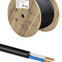 Кабель ВВГнг(А)-LS 2х1,5 ок(N)-0,66 ГОСТ TDM