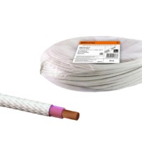 Провод термостойкий РКГМ 10,0 мм² (20м) TDM