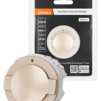 Выключатель карточный 250В 8кВт шампань, “Байкал” TDM