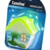 Светильник светодиодный NL-173 Домик 220В ночник с выкл. зел. Camelion 12529