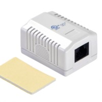 Розетка компьютерная внешняя на плате 1xRJ45 неэкран cat.6 110/Krone тип (Dual IDC) белая Netko Expert CKC