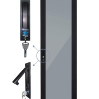 Дверь для шкафа серии Expert 42U Ширина 600 стеклянная черная Netko