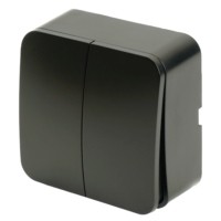 Выключатель открытой установки 2-клавишный Stekker 250В 10А IP20 София черный матовый MSW10-20-05